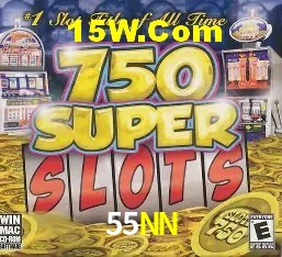 Sistemas de Segurança 55NN